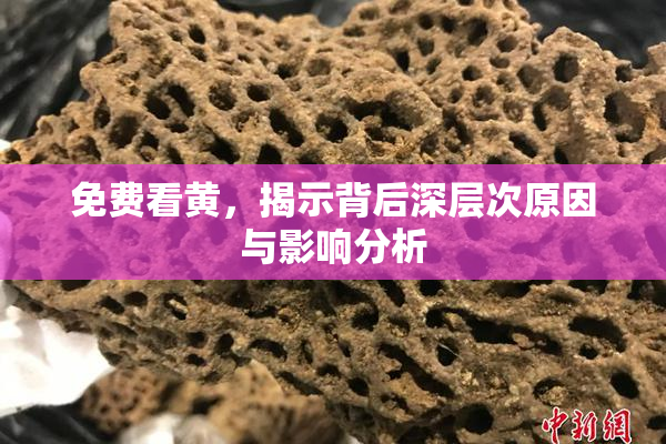免费看黄，揭示背后深层次原因与影响分析