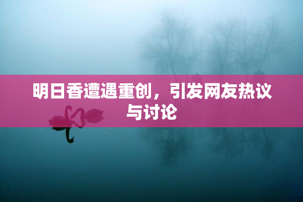 明日香遭遇重创，引发网友热议与讨论