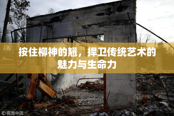 按住柳神的翘，捍卫传统艺术的魅力与生命力