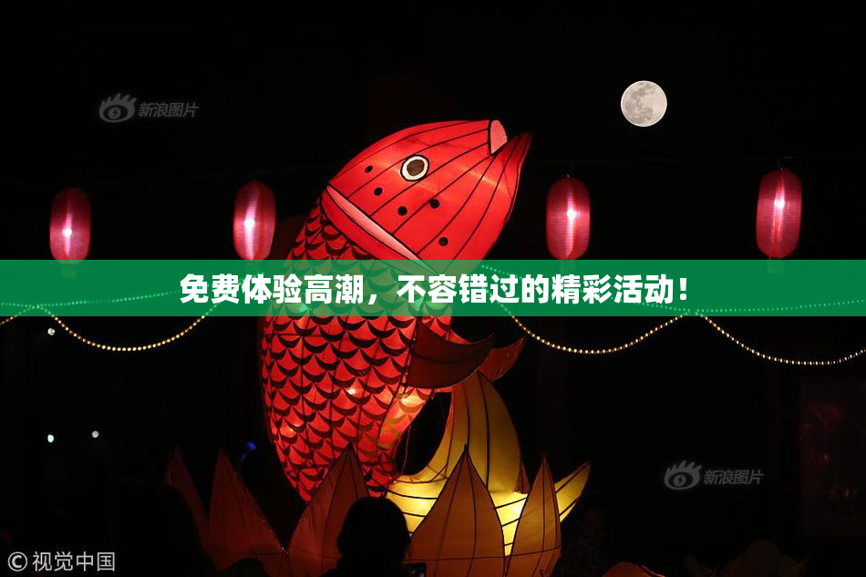 免费体验高潮，不容错过的精彩活动！