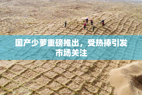 国产少萝重磅推出，受热捧引发市场关注