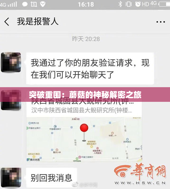 突破重围：蘑菇的神秘解密之旅