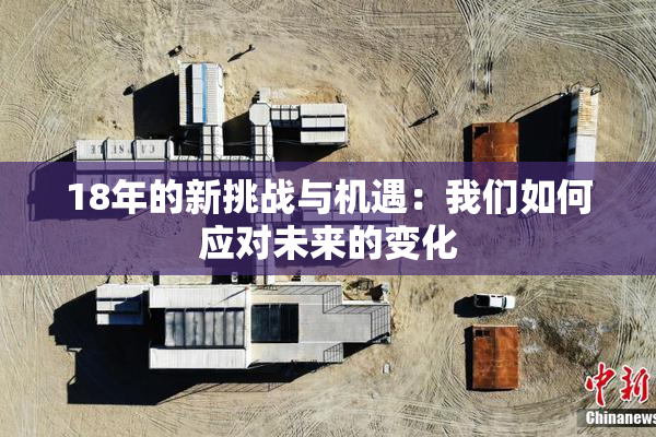 18年的新挑战与机遇：我们如何应对未来的变化