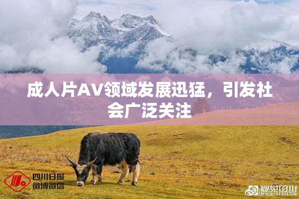 成人片AV领域发展迅猛，引发社会广泛关注