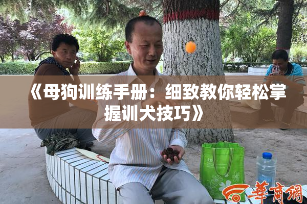 《母狗训练手册：细致教你轻松掌握训犬技巧》