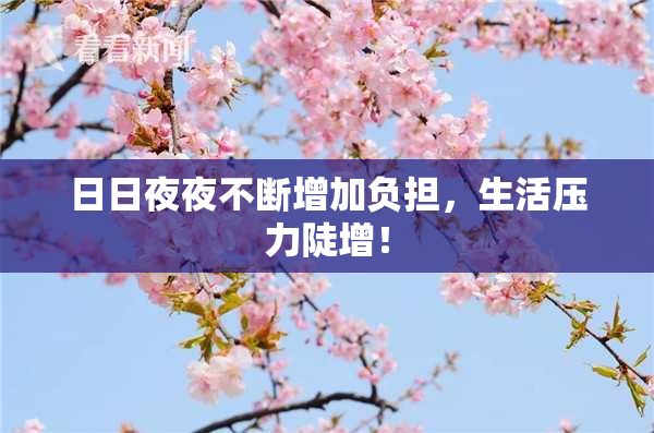 日日夜夜不断增加负担，生活压力陡增！