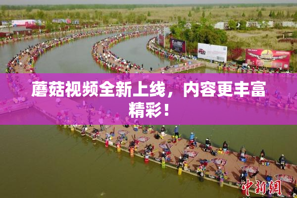 蘑菇视频全新上线，内容更丰富精彩！