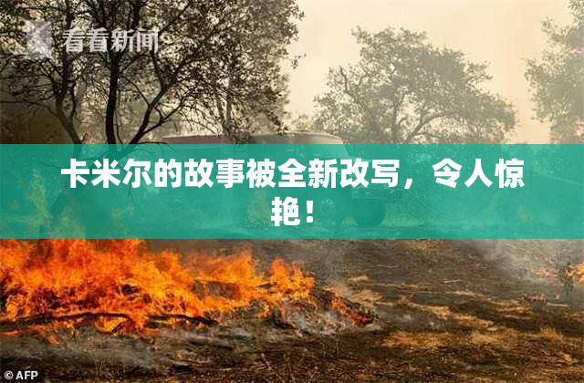 卡米尔的故事被全新改写，令人惊艳！