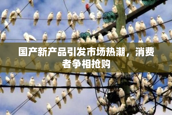 国产新产品引发市场热潮，消费者争相抢购