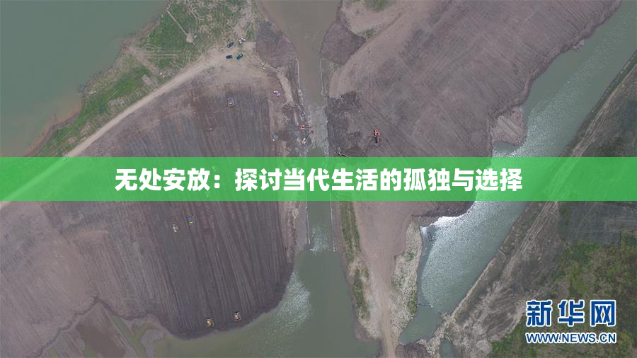 无处安放：探讨当代生活的孤独与选择
