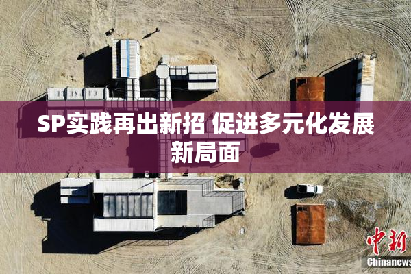 SP实践再出新招 促进多元化发展新局面