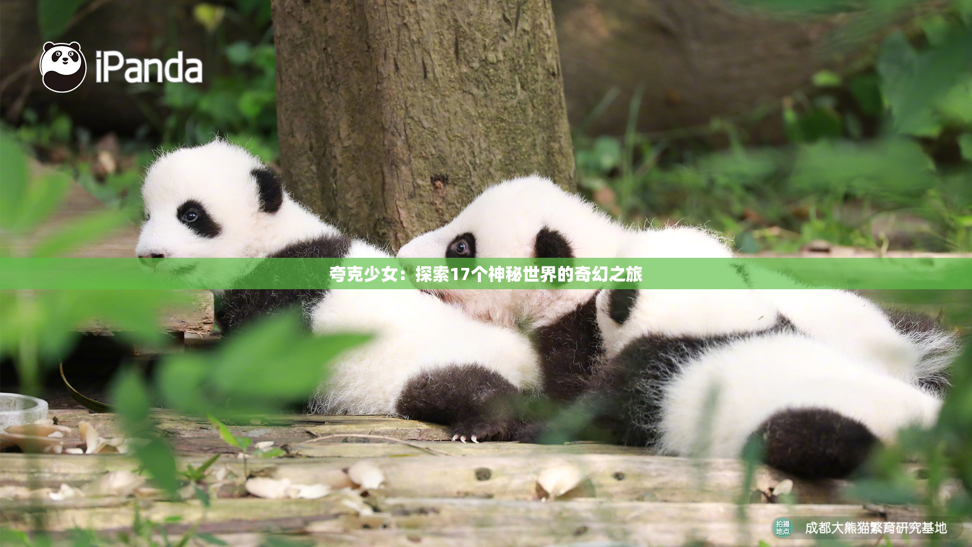 夸克少女：探索17个神秘世界的奇幻之旅