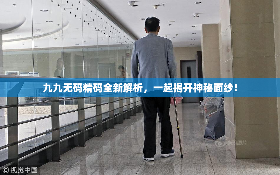 九九无码精码全新解析，一起揭开神秘面纱！