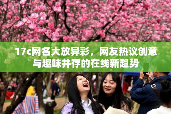 17c网名大放异彩，网友热议创意与趣味并存的在线新趋势