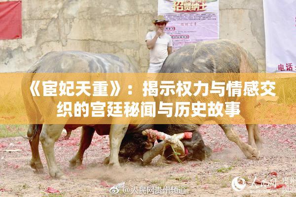 《宦妃天重》：揭示权力与情感交织的宫廷秘闻与历史故事