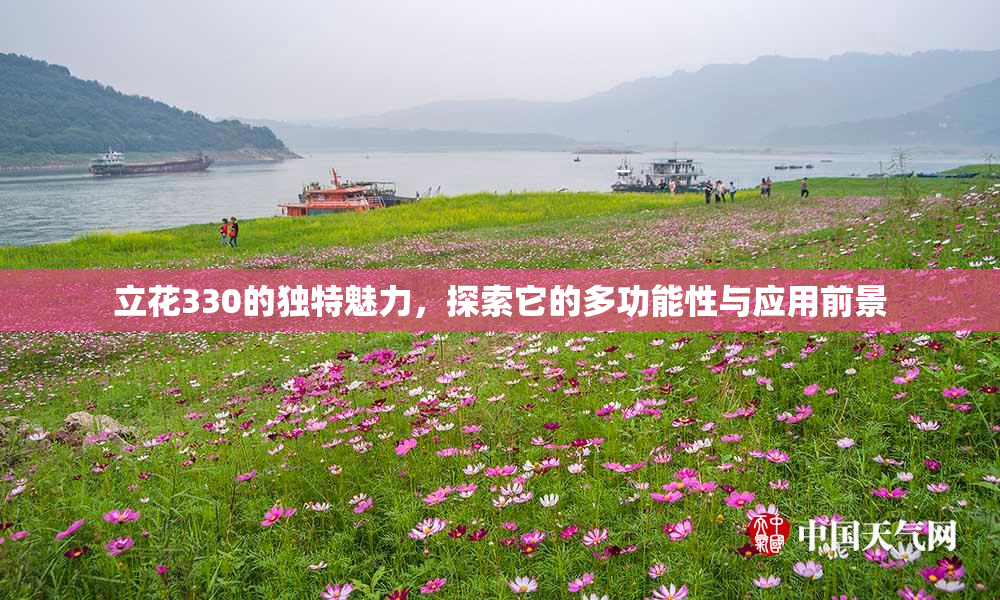 立花330的独特魅力，探索它的多功能性与应用前景