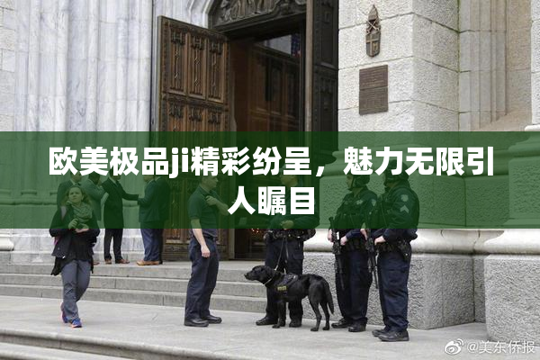 欧美极品ji精彩纷呈，魅力无限引人瞩目