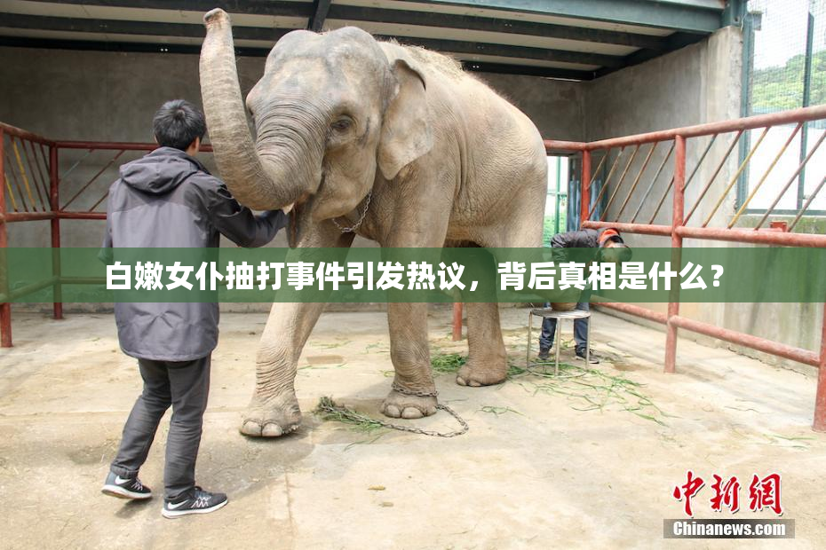 白嫩女仆抽打事件引发热议，背后真相是什么？