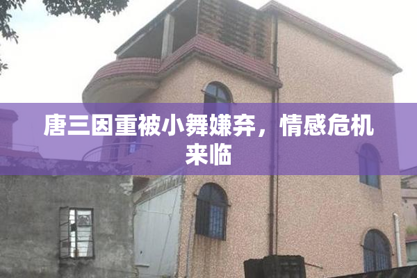 唐三因重被小舞嫌弃，情感危机来临