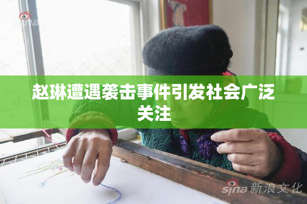 赵琳遭遇袭击事件引发社会广泛关注