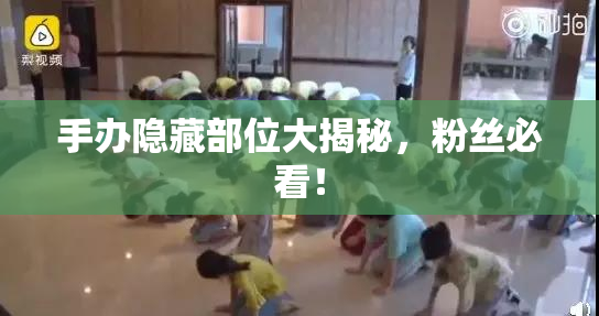 手办隐藏部位大揭秘，粉丝必看！