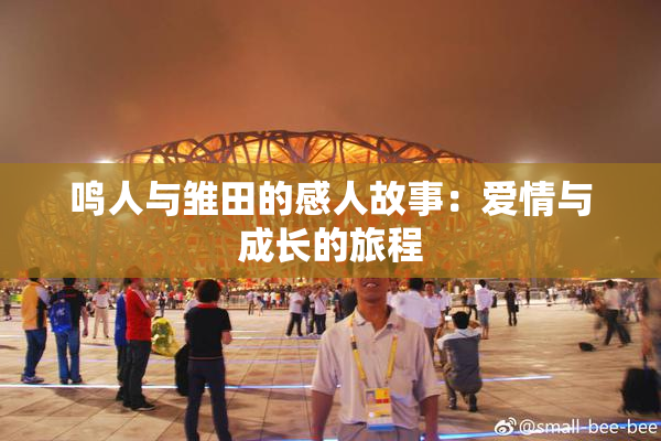鸣人与雏田的感人故事：爱情与成长的旅程