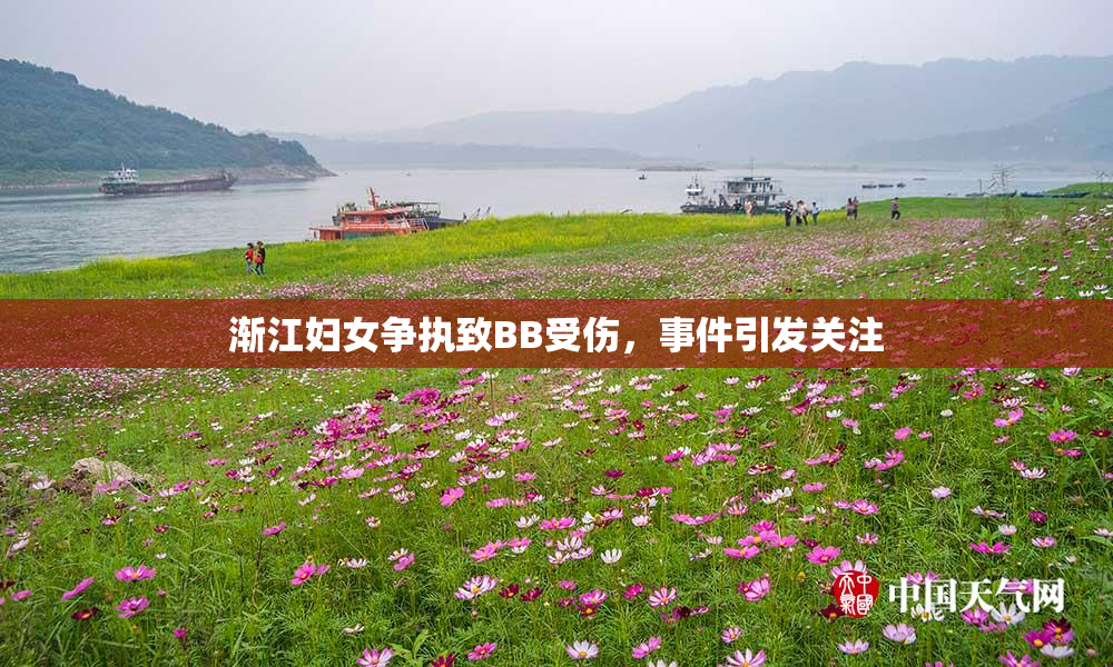 渐江妇女争执致BB受伤，事件引发关注