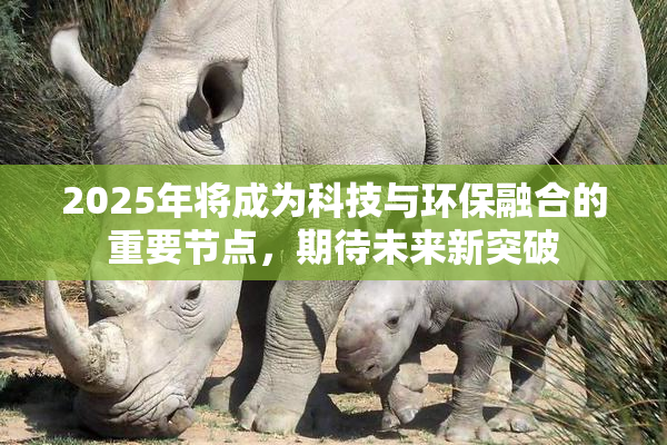 2025年将成为科技与环保融合的重要节点，期待未来新突破