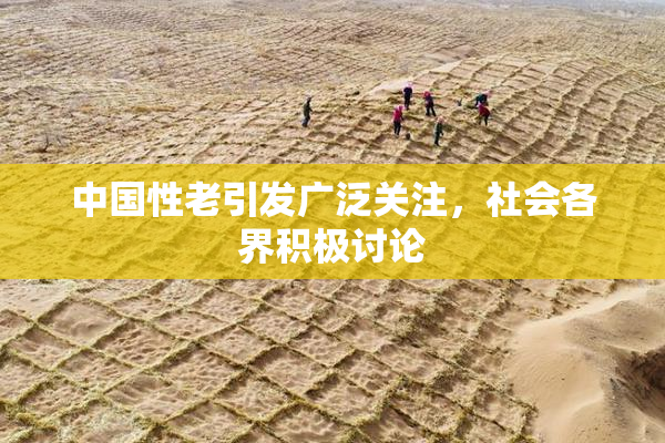 中国性老引发广泛关注，社会各界积极讨论