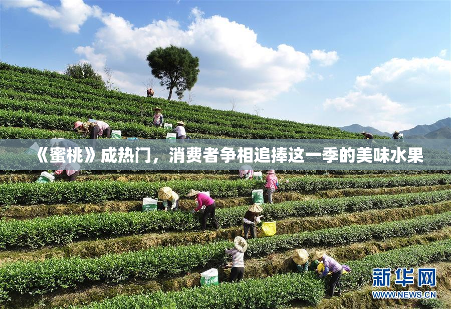 《蜜桃》成热门，消费者争相追捧这一季的美味水果
