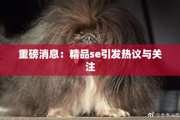 重磅消息：精品se引发热议与关注