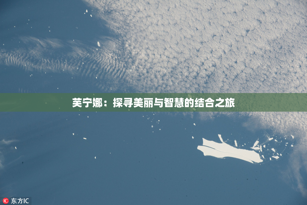 芙宁娜：探寻美丽与智慧的结合之旅