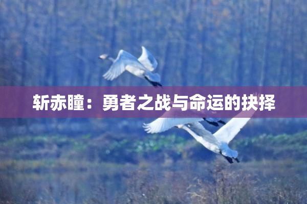 斩赤瞳：勇者之战与命运的抉择
