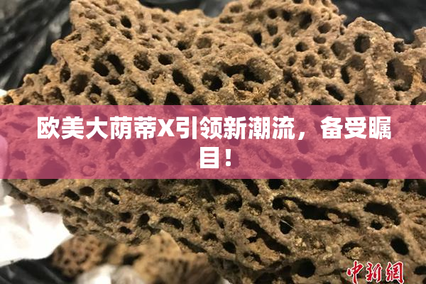 欧美大荫蒂X引领新潮流，备受瞩目！