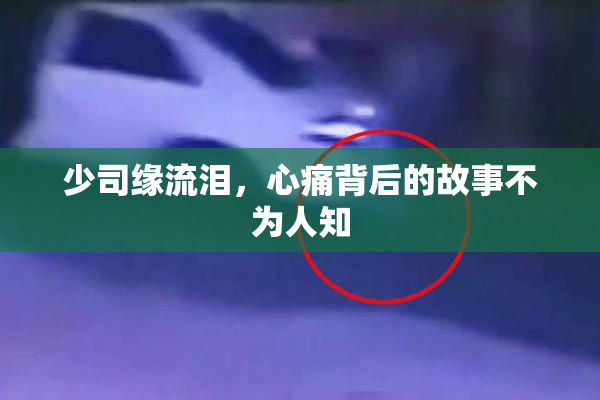 少司缘流泪，心痛背后的故事不为人知