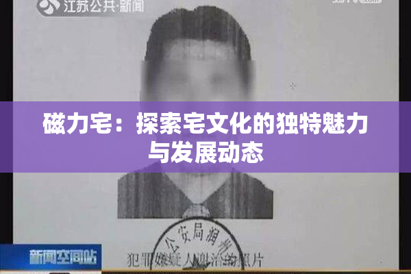 磁力宅：探索宅文化的独特魅力与发展动态