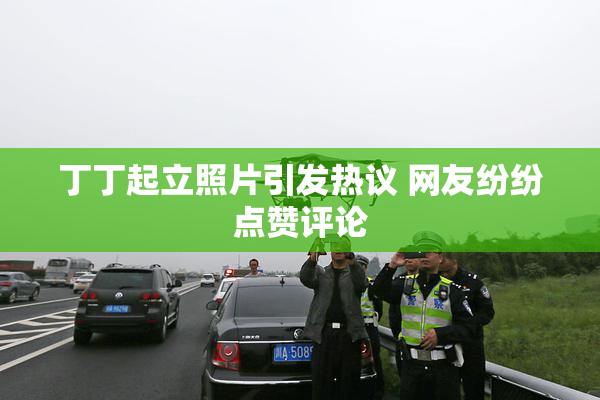 丁丁起立照片引发热议 网友纷纷点赞评论