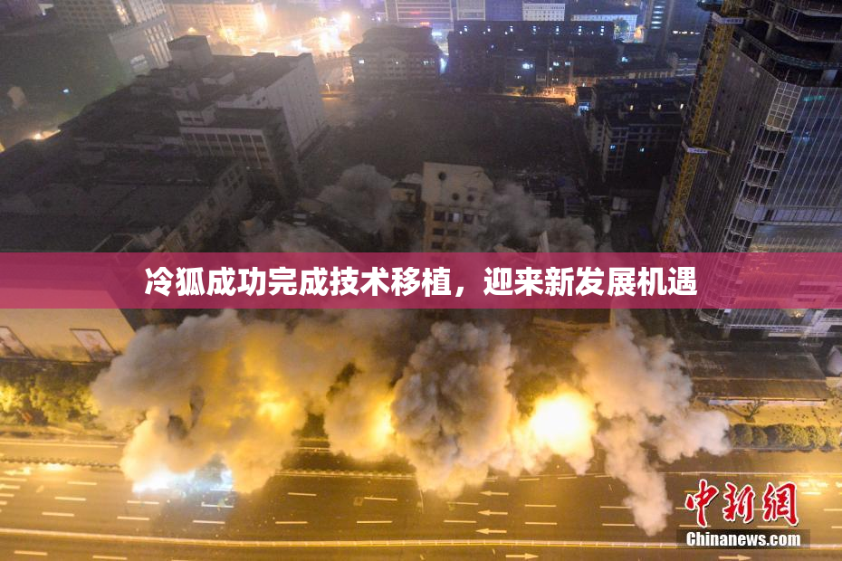 冷狐成功完成技术移植，迎来新发展机遇