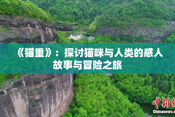 《猫重》：探讨猫咪与人类的感人故事与冒险之旅