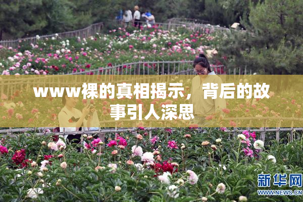 www裸的真相揭示，背后的故事引人深思