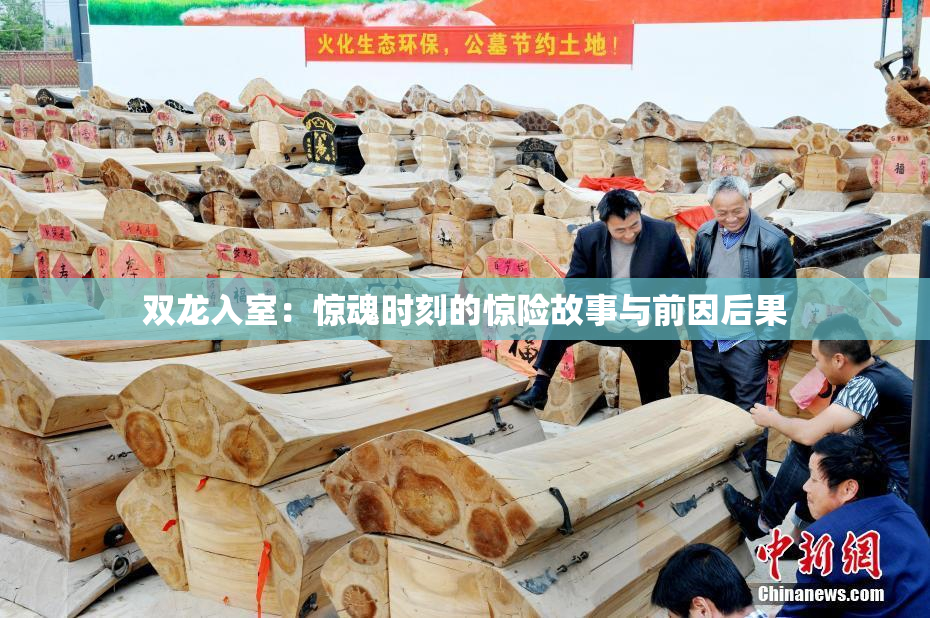 双龙入室：惊魂时刻的惊险故事与前因后果
