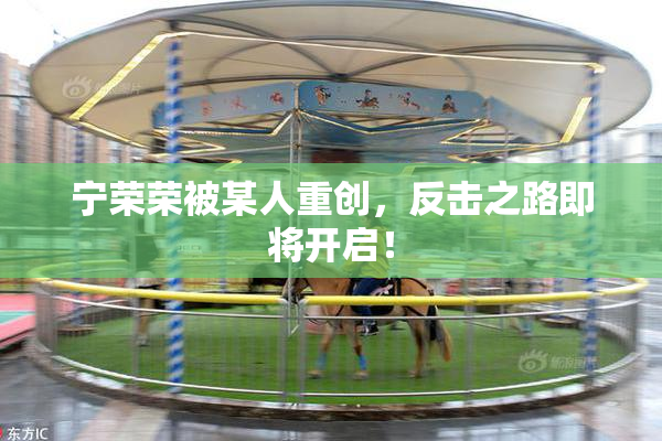 宁荣荣被某人重创，反击之路即将开启！