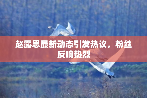 赵露思最新动态引发热议，粉丝反响热烈