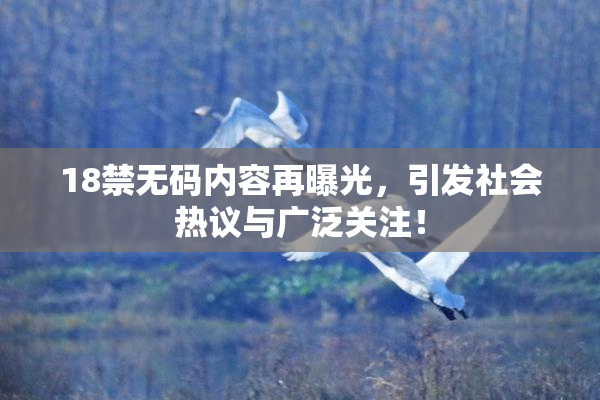 18禁无码内容再曝光，引发社会热议与广泛关注！