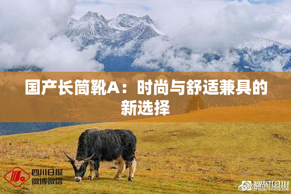 国产长筒靴A：时尚与舒适兼具的新选择