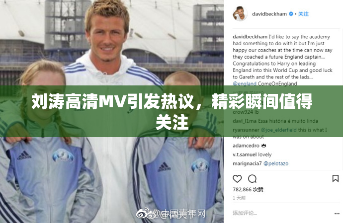 刘涛高清MV引发热议，精彩瞬间值得关注