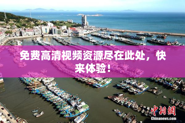 免费高清视频资源尽在此处，快来体验！