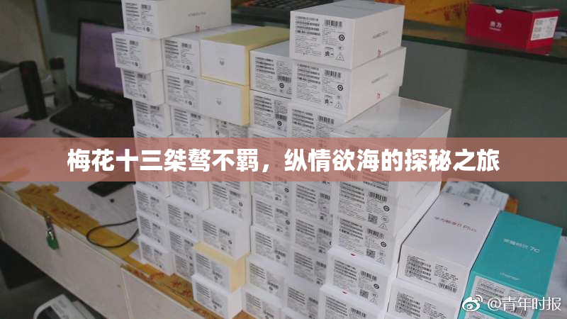 梅花十三桀骜不羁，纵情欲海的探秘之旅