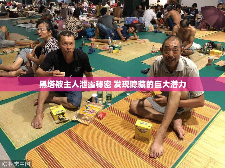 黑塔被主人泄露秘密 发现隐藏的巨大潜力