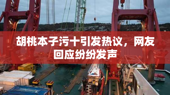 胡桃本子污十引发热议，网友回应纷纷发声